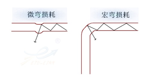 光纤损耗_易天光通信