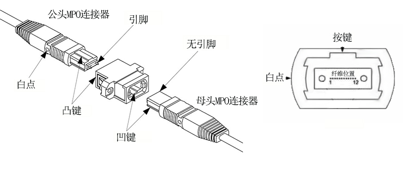 MPO跳线分析